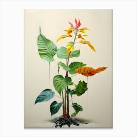 Bird Of Paradise Canvas Print