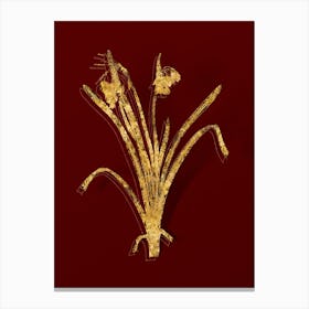 Vintage Summer Snowflake Botanical in Gold on Red n.0590 Canvas Print