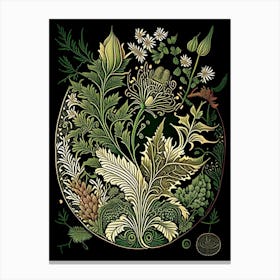 Henna Herb Vintage Botanical Canvas Print