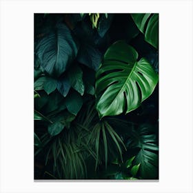 Tropical Leaves Wall Art Canvas Print