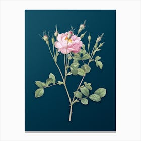 Vintage Anemone Flowered Sweetbriar Rose Botanical Art on Teal Blue Canvas Print