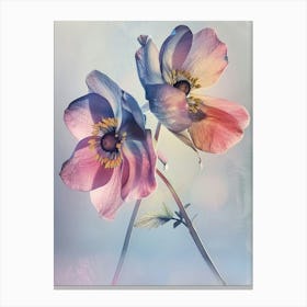 Iridescent Flower Hellebore 1 Canvas Print