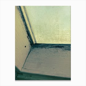 Window Sill Canvas Print