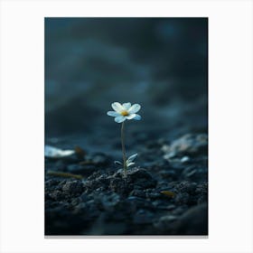 Single White Flower 5 Canvas Print