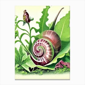 Garden Snail Feeding On Plants Botanical Canvas Print