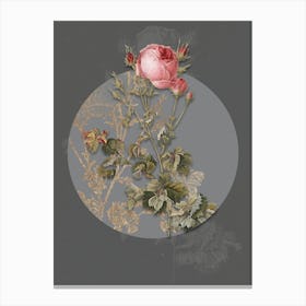 Vintage Botanical Celery Leaf Cabbage Rose on Circle Gray on Gray n.0079 Canvas Print