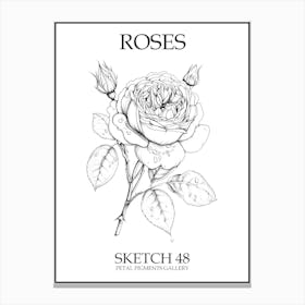 Roses Sketch 48 Poster Canvas Print