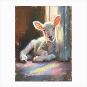 Lamb In The Sun Canvas Print