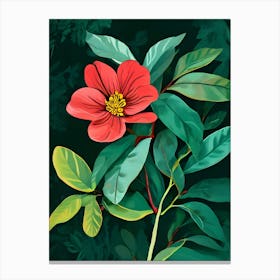 Hibiscus Flower 6 Canvas Print