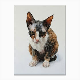 Cornish Rex Painting 2 Canvas Print