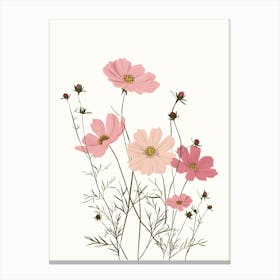 Pink Cosmos Flowers Canvas Print