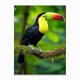 Rainbow Flight: Keel-billed Toucan Art Canvas Print