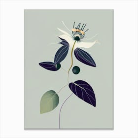Passion Flower Herb Simplicity Canvas Print
