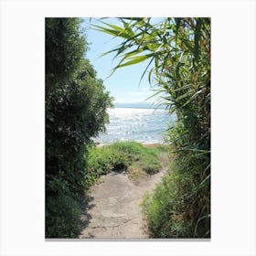 Path To The Beach Canvas Print