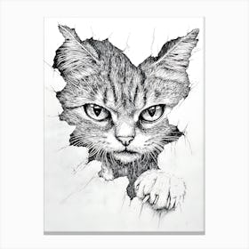 Angry Cat Watching from Wall Hole 20 Canvas Print