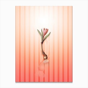Spring Meadow Saffron Vintage Botanical in Peach Fuzz Awning Stripes Pattern n.0092 Canvas Print