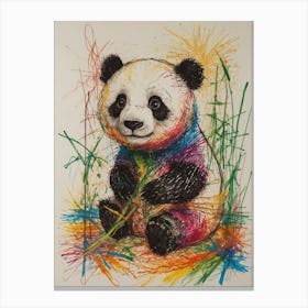 Panda Bear 23 Canvas Print