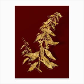 Vintage Goji Berry Tree Botanical in Gold on Red n.0431 Canvas Print