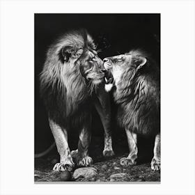Barbary Lion Charcoal Drawing Rituals 1 Canvas Print
