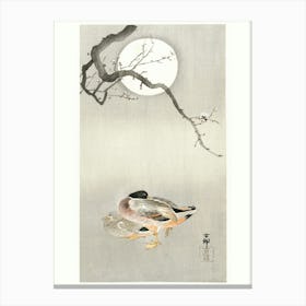 Ducks At Full Moon (1900 1945), Ohara Koson Canvas Print