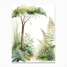 Ferns And Trees In The Forest Canvas Print