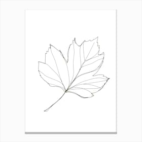 Maple Leaf 1 Canvas Print