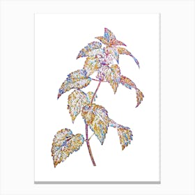 Stained Glass White Dead Nettle Plant Mosaic Botanical Illustration on White n.0099 Canvas Print