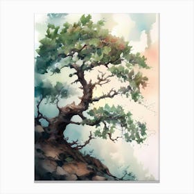 Watercolor Of A Tree 2 Canvas Print