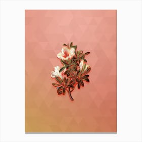 Vintage Variegated Chinese Azalea Botanical Art on Peach Pink n.0787 Canvas Print