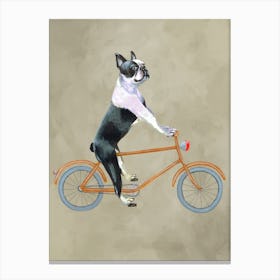 Boston Terrier On Bicycle Canvas Print