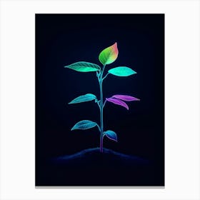 Plant Growing In The Dark 4 Canvas Print