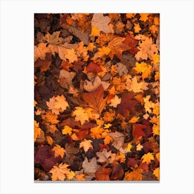 Autumn Leaves On The Ground Autumn Leaves Foliage Fall Canvas Print