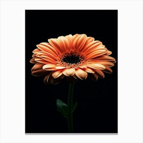 Orange Gerbera Flower Canvas Print