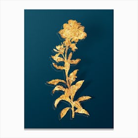 Vintage Yellow Wallflower Bloom Botanical in Gold on Teal Blue n.0120 Canvas Print