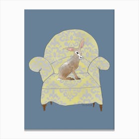 Hare On A Chair Canvas Print