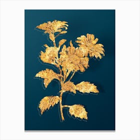 Vintage Red Aster Flowers Botanical in Gold on Teal Blue n.0223 Canvas Print