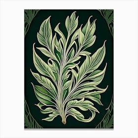 Tarragon Leaf Vintage Botanical 3 Canvas Print
