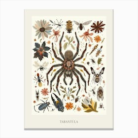 Colourful Insect Illustration Tarantula 14 Poster Canvas Print