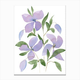 Purple Blooms Canvas Print