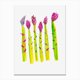 Asparagus Canvas Print