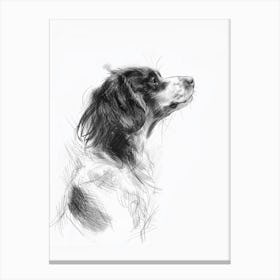 Nederlandse Kooikerhondje Dog Charcoal Line 3 Canvas Print