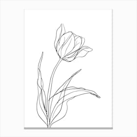 Tulip Flower Minimalist Line Art Monoline Illustration Canvas Print