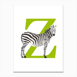 Z For Zebra Canvas Print