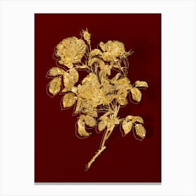 Vintage Rose of Love Bloom Botanical in Gold on Red n.0241 Canvas Print