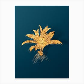 Vintage Kaempferia Angustifolia Botanical in Gold on Teal Blue Canvas Print