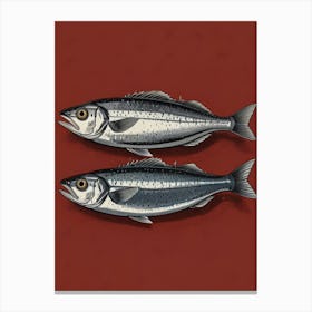 Two Sardines 3 Canvas Print