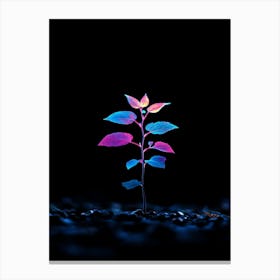 Plant Growing In The Dark 13 Canvas Print