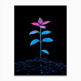 Plant Grows In The Dark Canvas Print