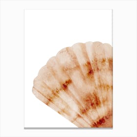 Colored seashells. Seashells. Summer. 16 Canvas Print