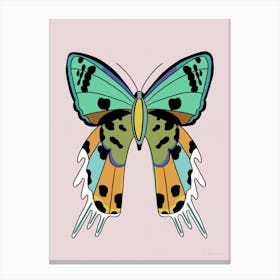 Colorful Butterfly Canvas Print